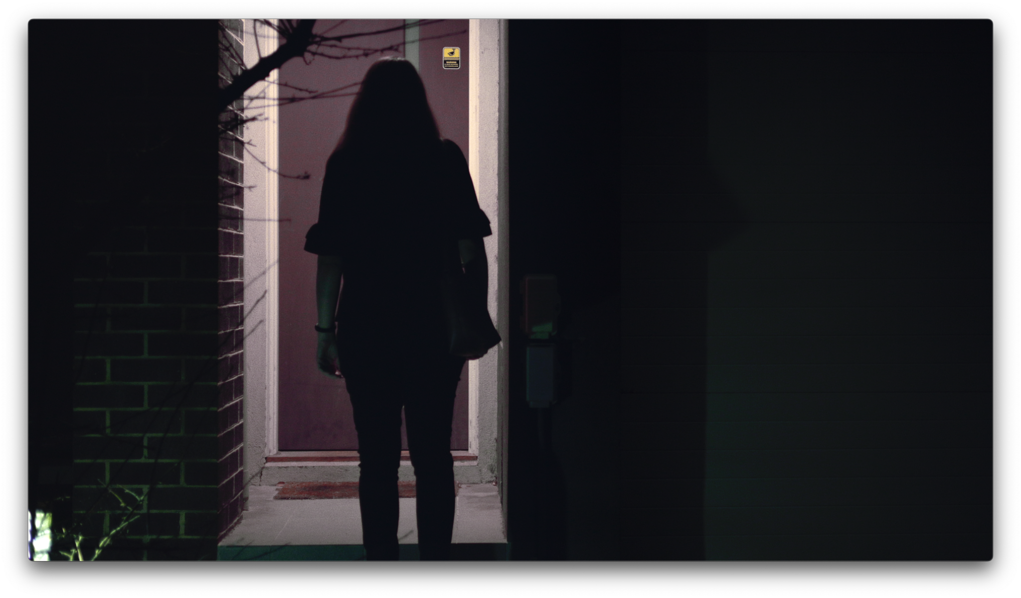 The Guest